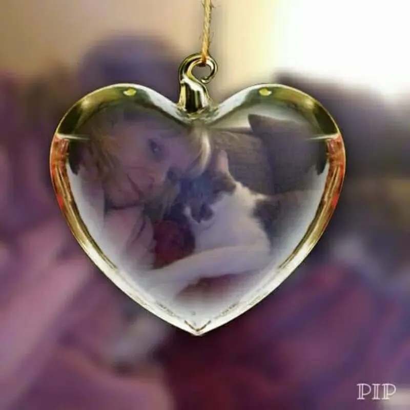 Condolence image of Claudia McIntyre