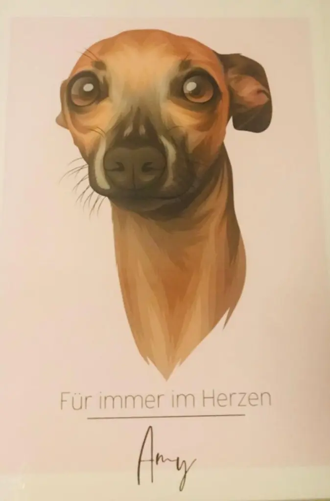Condolence image of Sarah Müller