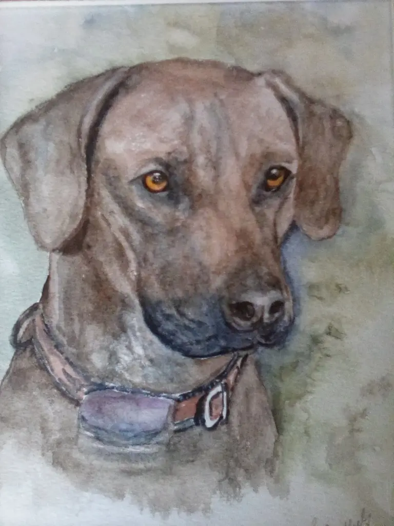 Condolence image of Britta