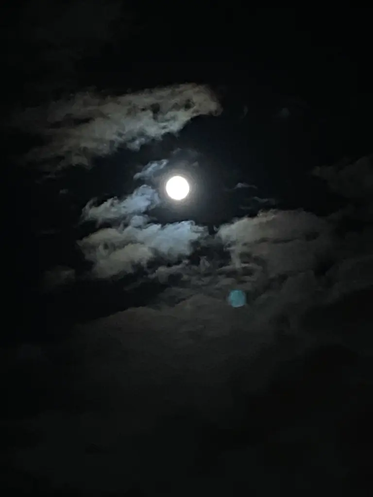 Andachtsbild von Riri aus der zukunft