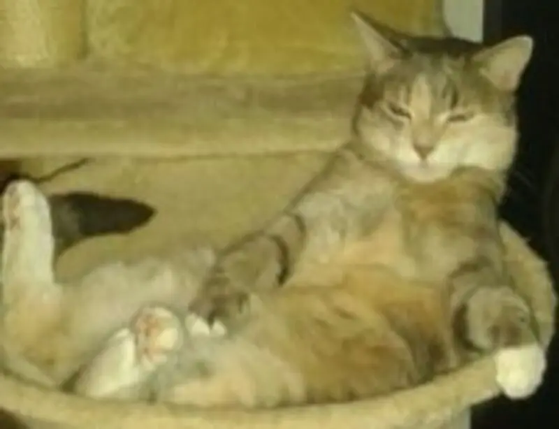Andachtsbild von Jürgen