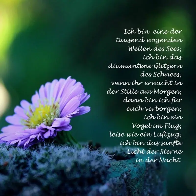 Andachtsbild von Andrea mit Minki im ❤ gest.19.10.2020