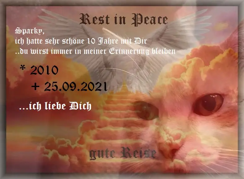 Bild von Sparky