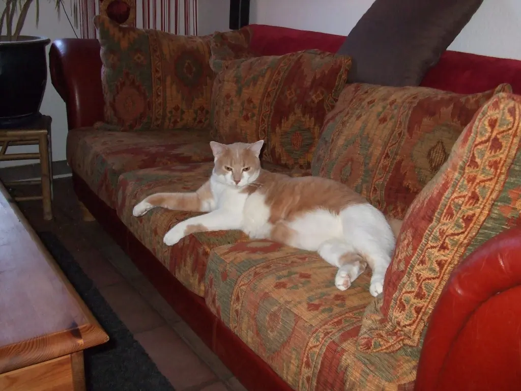 Bild von Sparky