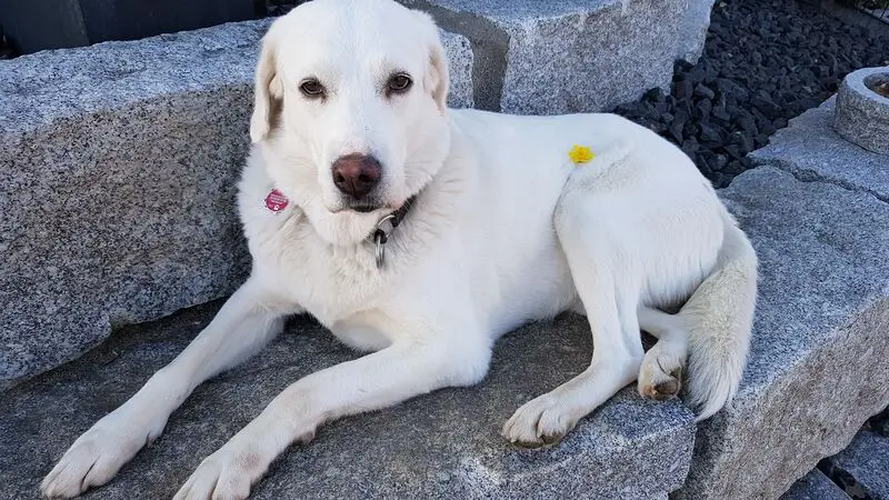Andachtsbild von Günter mit Cookie