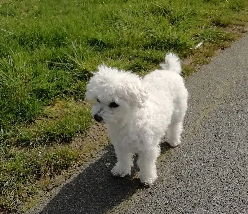 Andachtsbild von Gaby u Thomy ❤ Snowy