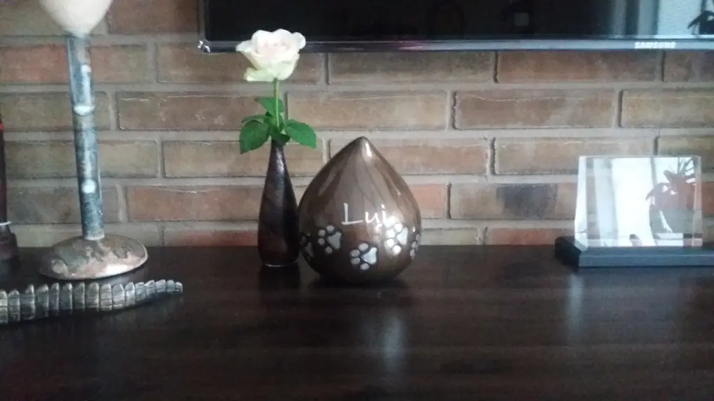 Image from Lui