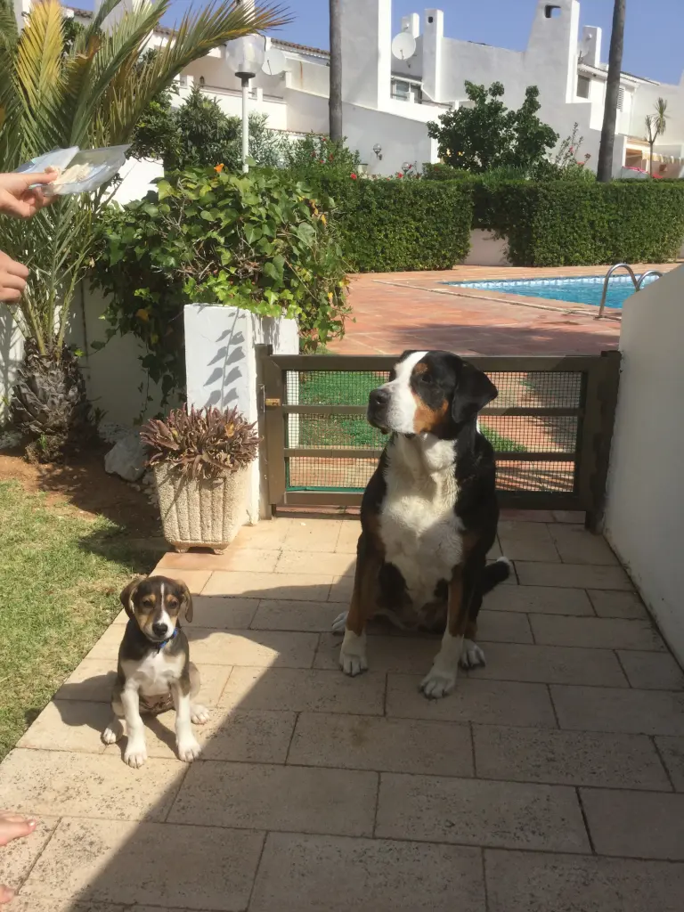 Image from Tinka