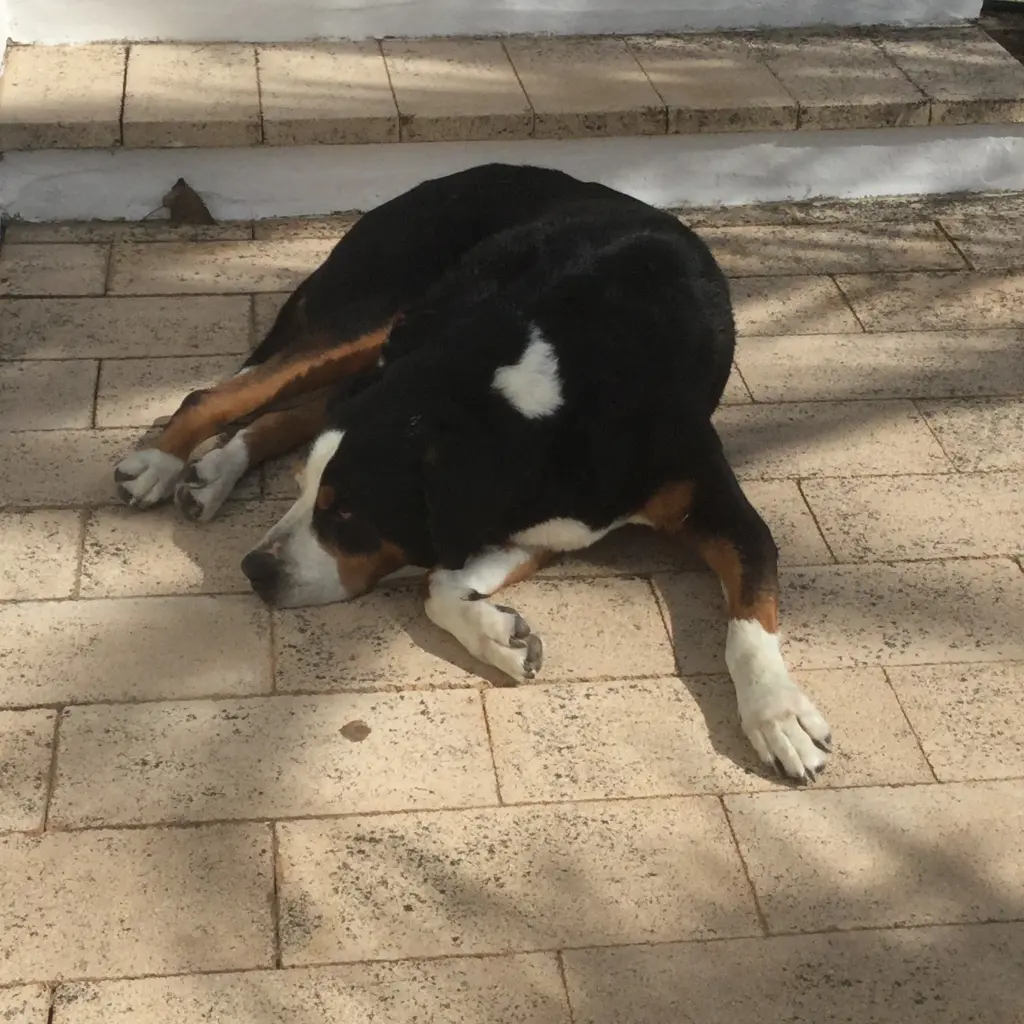 Image from Tinka