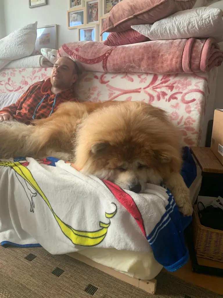 Image from Kuma