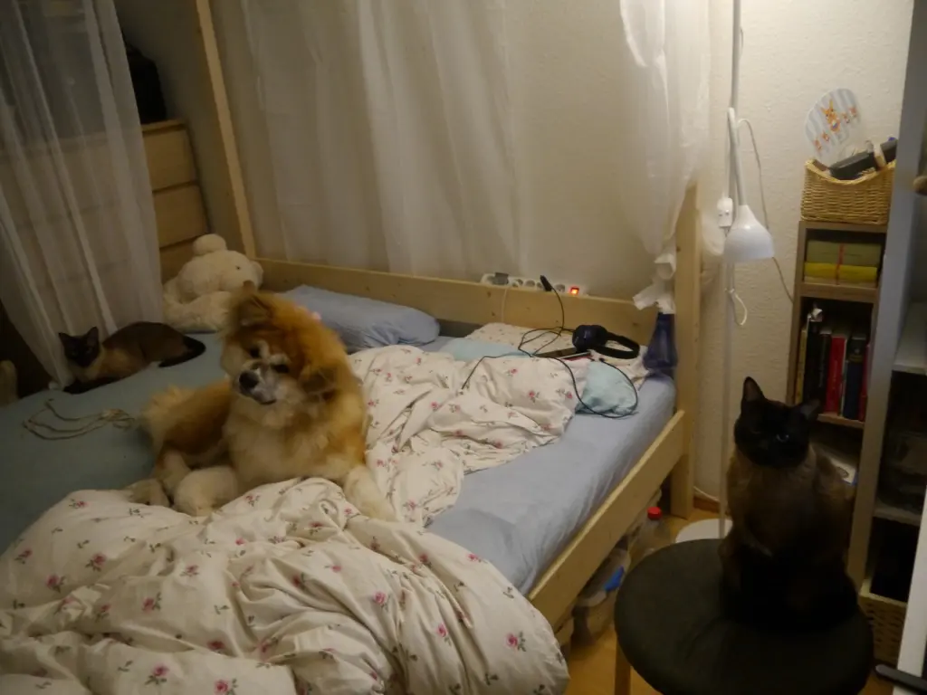Image from Kuma