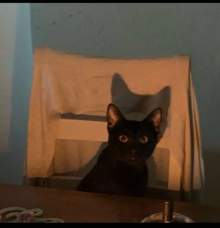 Image from Smutzi