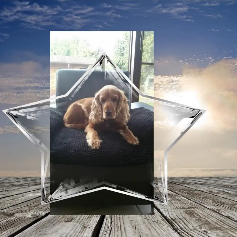 Condolence image of Karin 