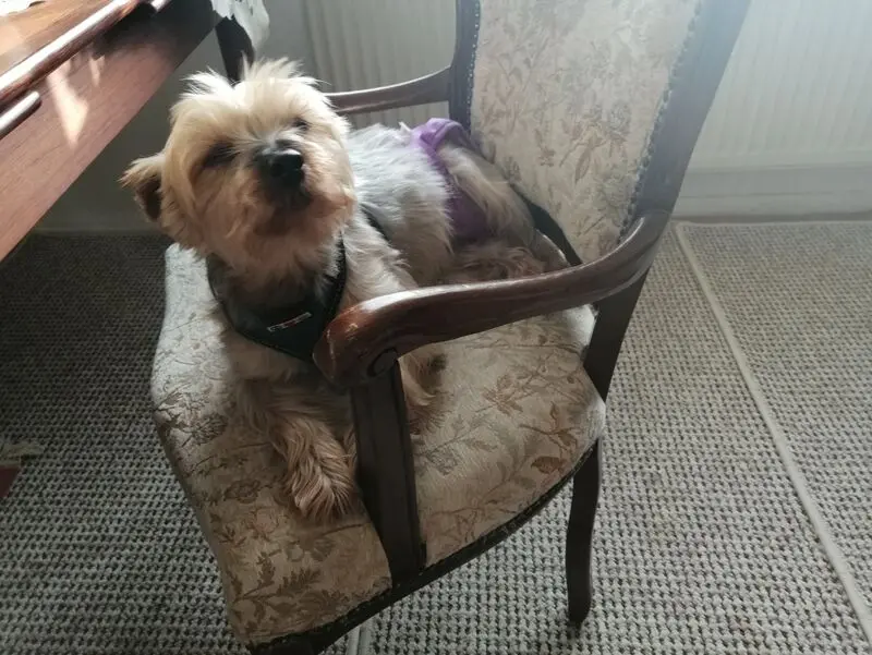 Andachtsbild von Unbekannt