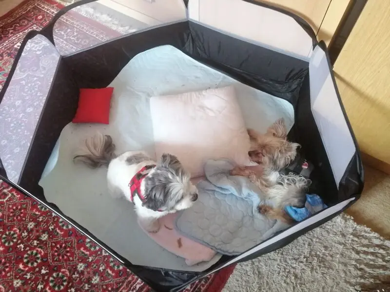 Andachtsbild von Gina