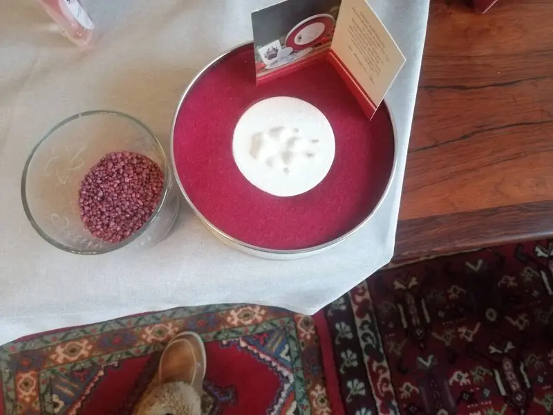 Andachtsbild von Gina