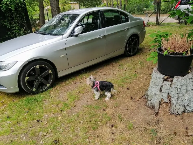 Andachtsbild von Gina