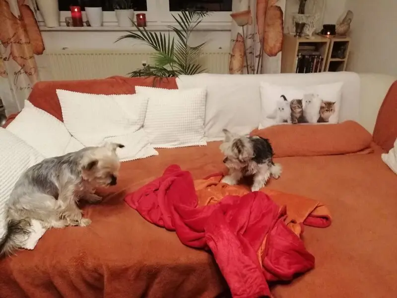 Andachtsbild von Gina