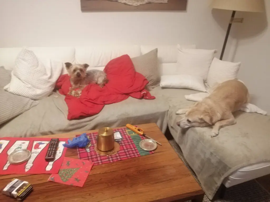 Andachtsbild von Gina