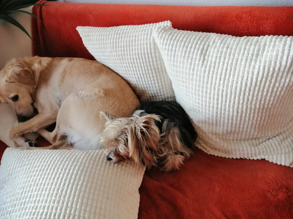 Andachtsbild von Gina