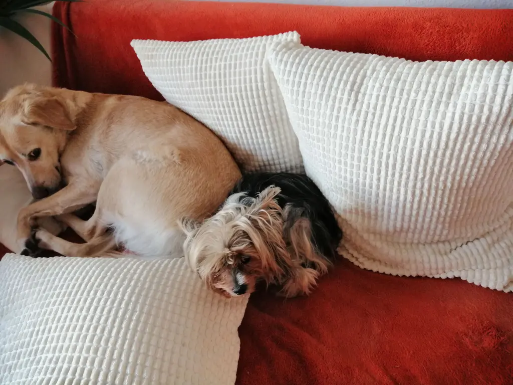 Andachtsbild von Gina