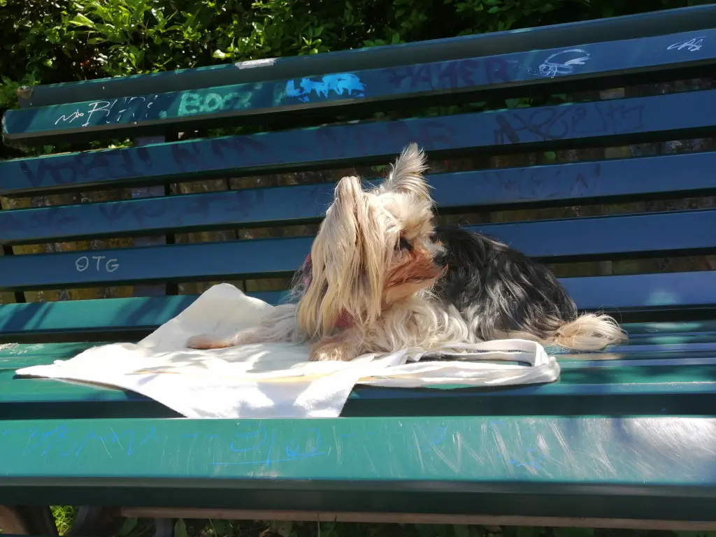 Andachtsbild von Gina