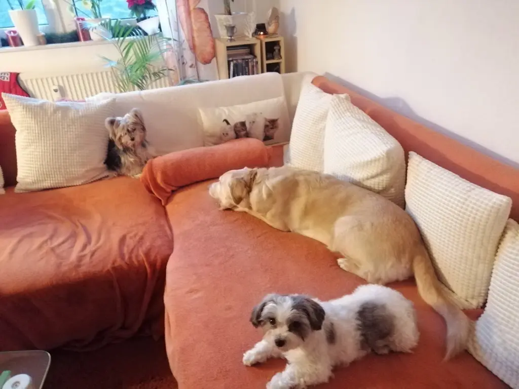 Andachtsbild von Gina