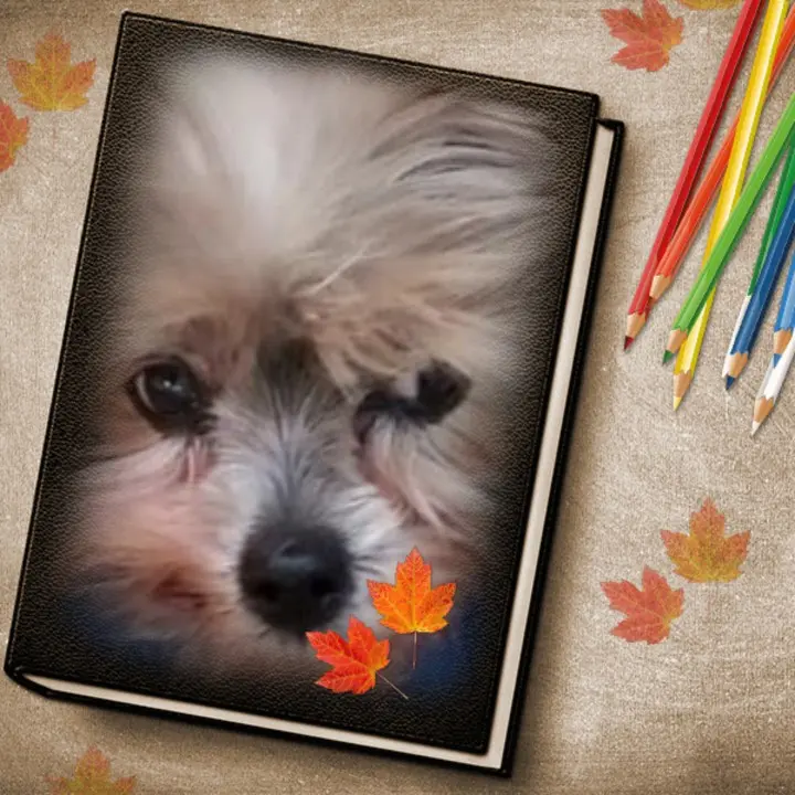 Andachtsbild von Gina