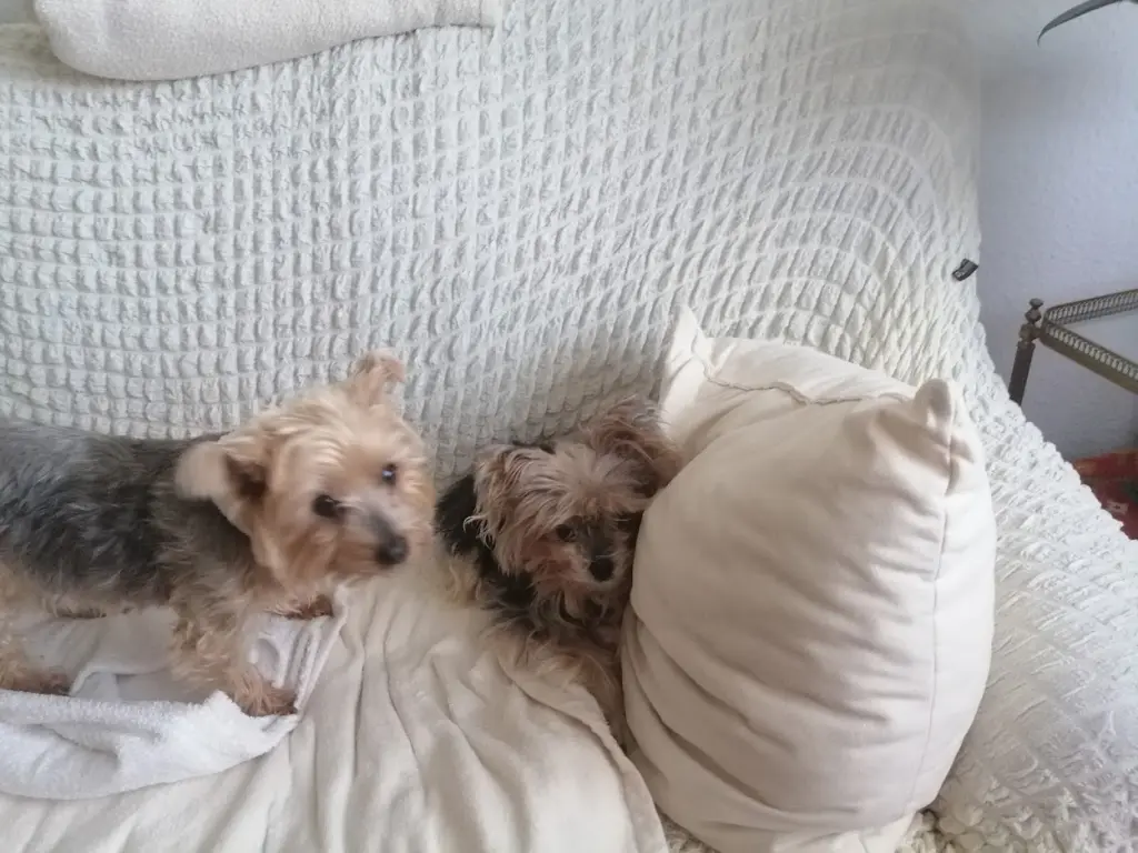 Andachtsbild von Gina