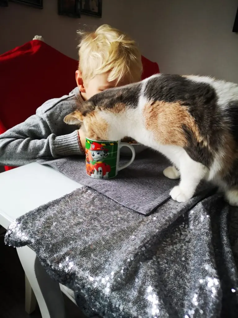 Andachtsbild von Unbekannt