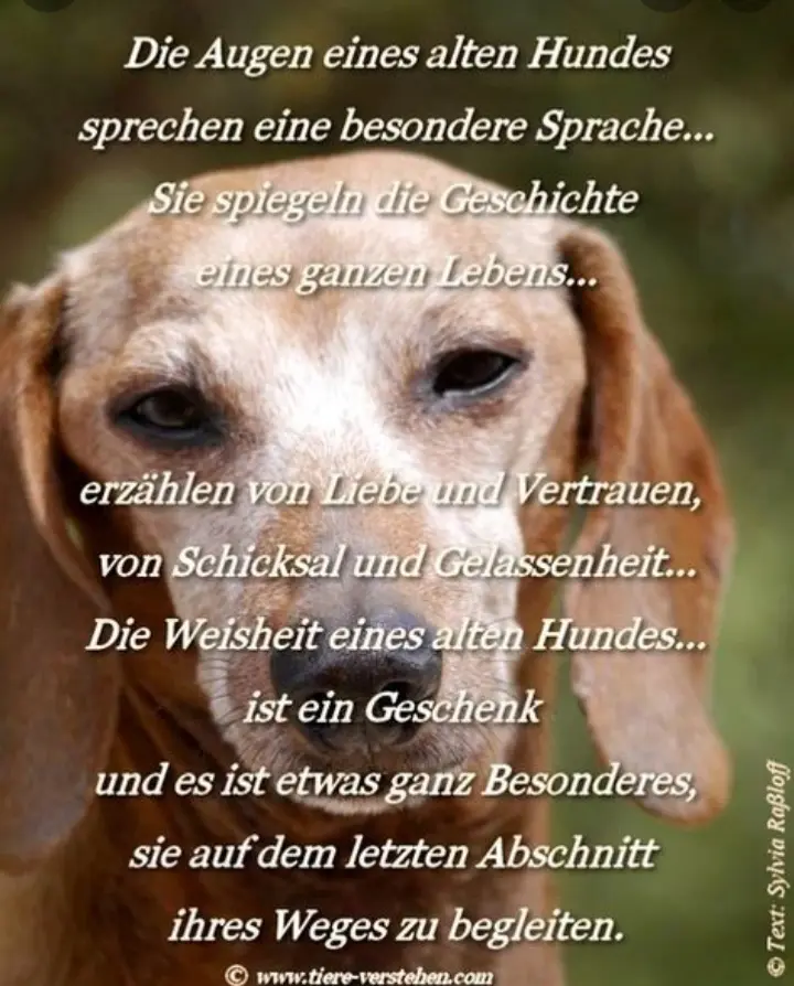 Image from Sniky