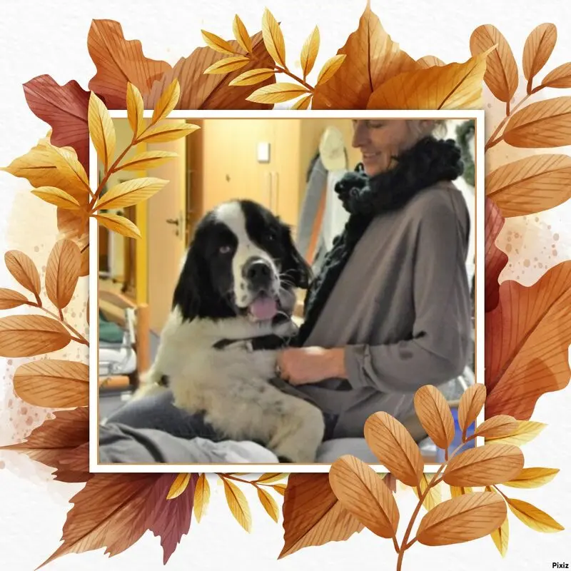 Condolence image of Andrea mit Minki im ❤ gest.19.10.2020