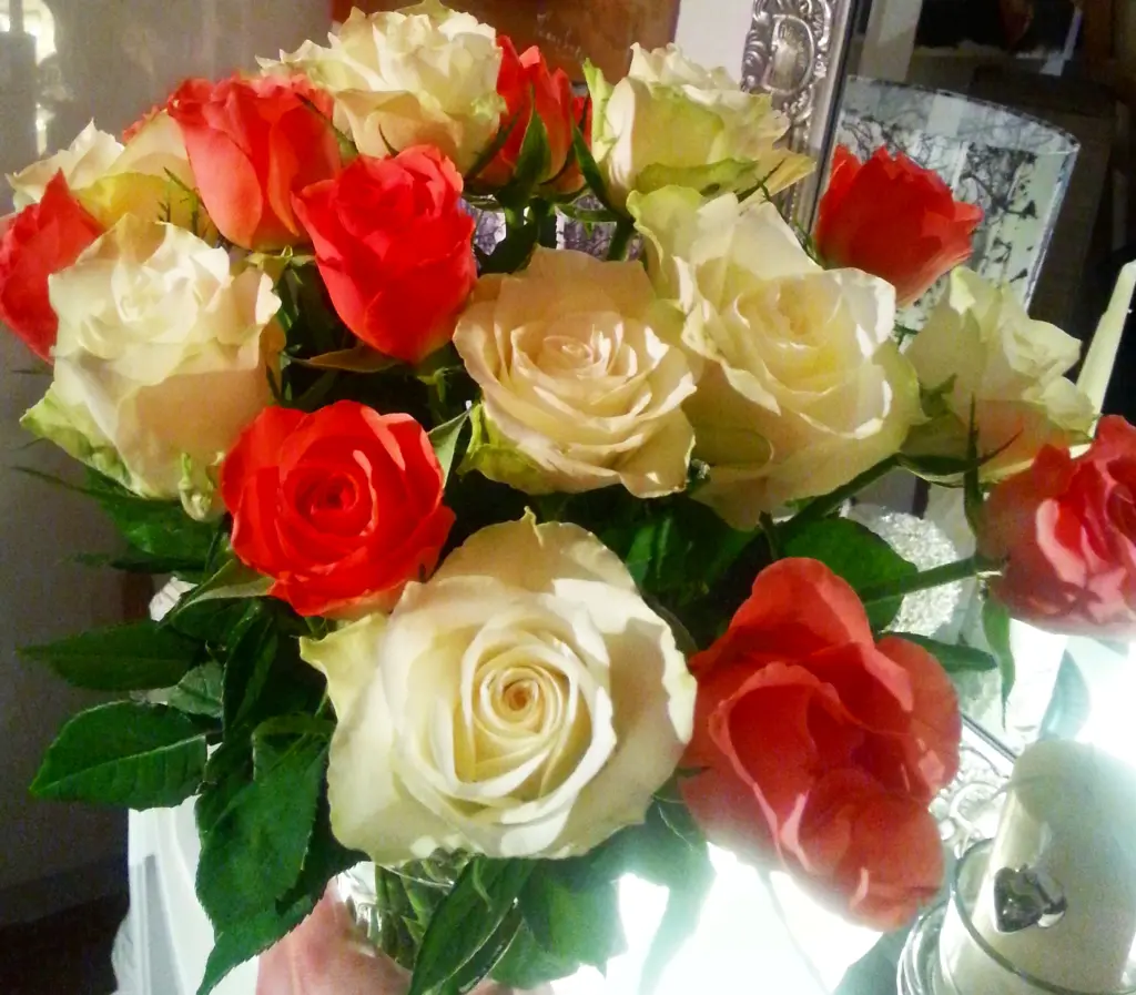 Condolence image of Johana