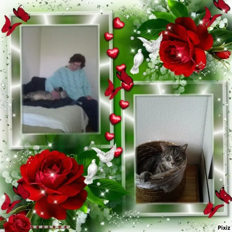 Condolence image of Patricia mit Bunny