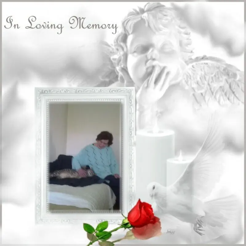 Condolence image of Rosen❤️❤️❤️❤️❤️❤️❤️❤️fur Silvia❤️