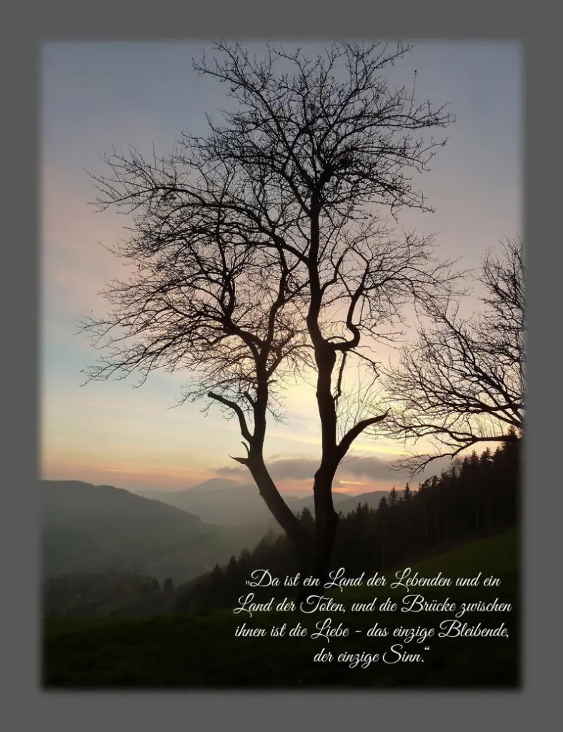 Condolence image of Sabine mit Kaspar tief im Herzen