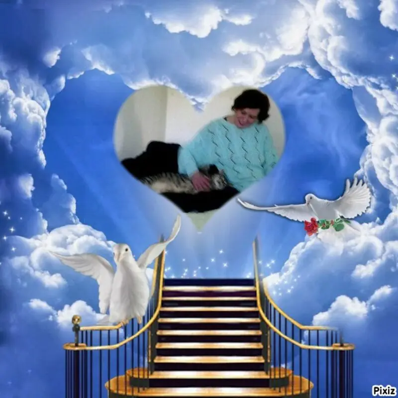 Condolence image of Deine Freundin Tanja