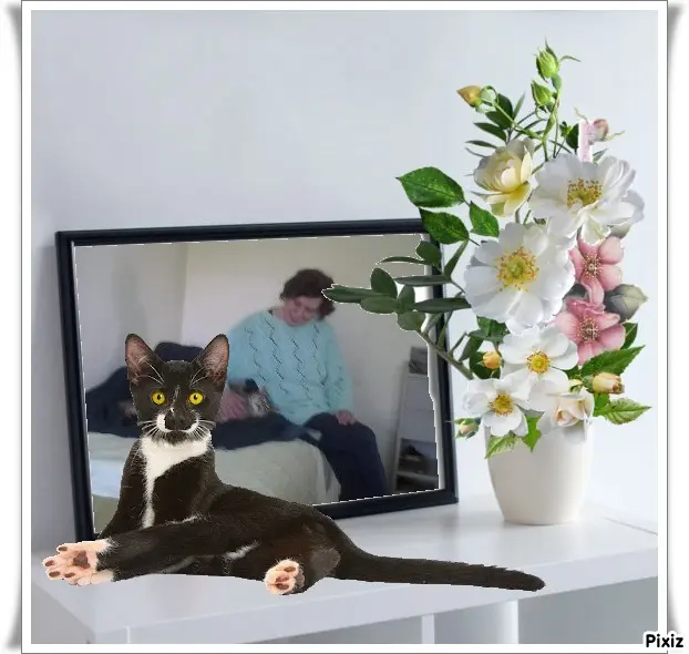 Condolence image of Patricia mit Bunny ❤
