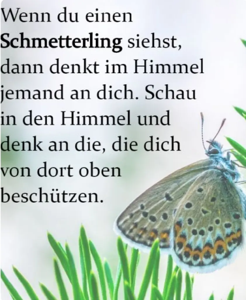 Condolence image of Daniela mit Pauline im ♥️ (+27.05.2021)