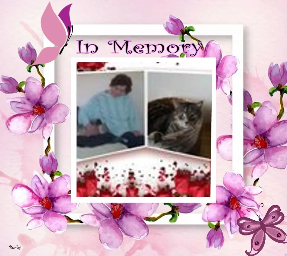 Condolence image of Liebe❤❤❤❤❤Silvia❤