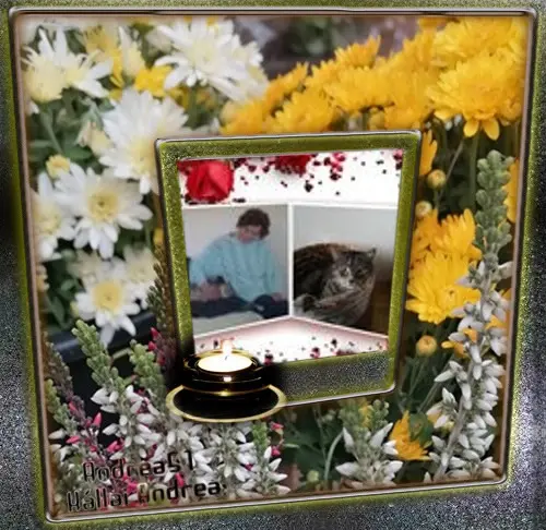 Condolence image of ❤️❤️❤️❤️❤️❤️❤️❤️❤️❤️❤️❤️