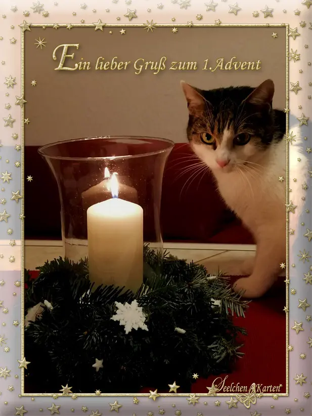 Condolence image of Liebe Adventsgrüße ins Regenbogenland