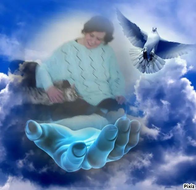 Condolence image of Deine Freundin Tanja ❤