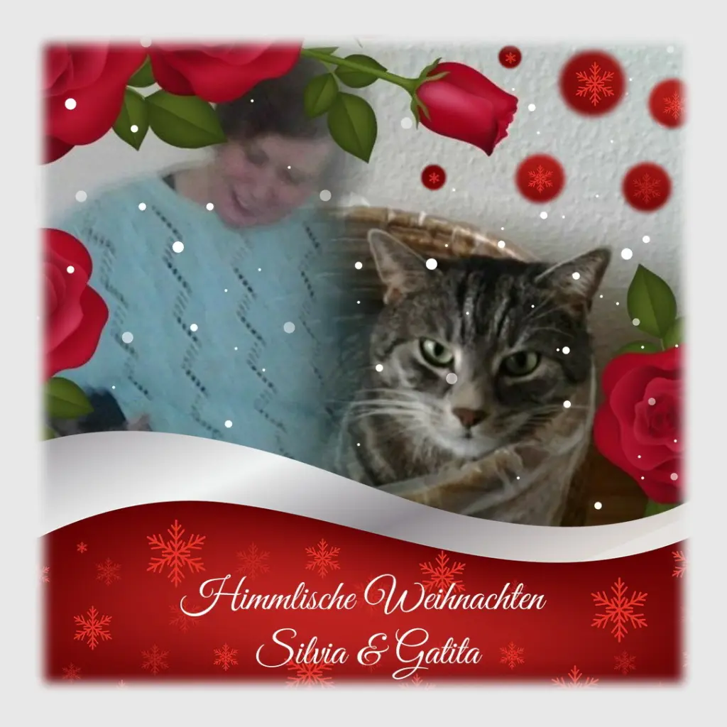 Condolence image of Weihnachtsgrüße ins Regenbogenland die von Herzen kommen✰ ¸.•*¨*•.