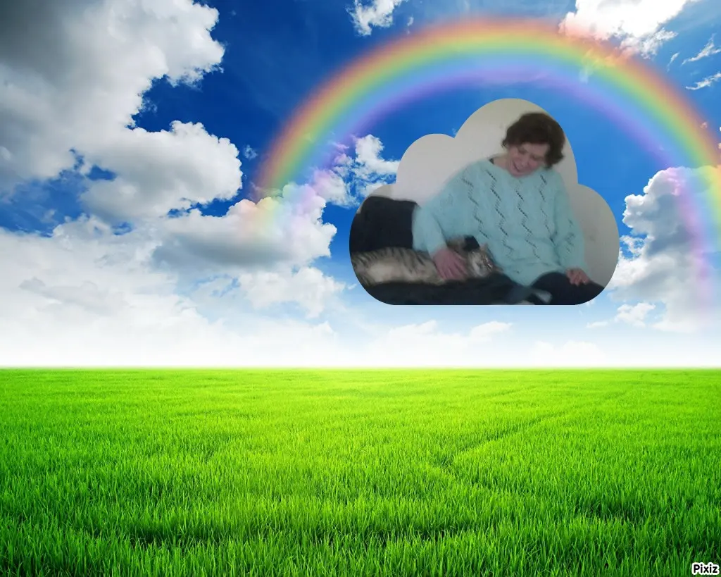 Condolence image of Deine Freundin Tanja ❤