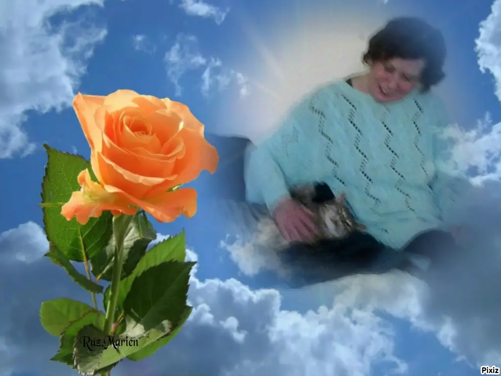 Condolence image of Deine Freundin Tanja ❤