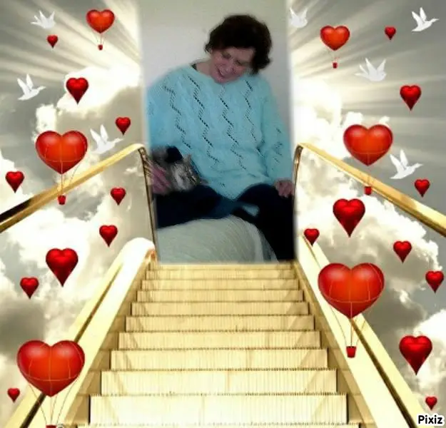 Condolence image of Deine Freundin Tanja ❤