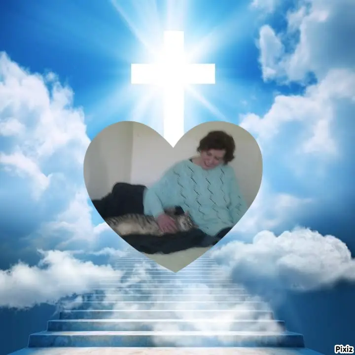 Condolence image of Deine Freundin Tanja ❤