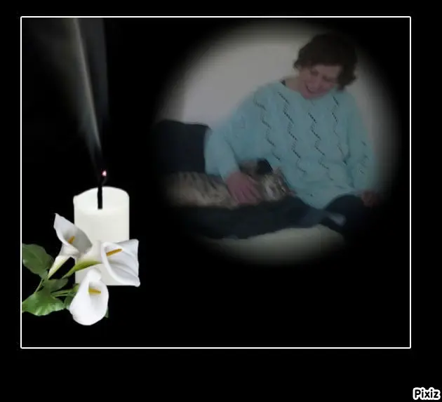Condolence image of Deine Freundin Tanja ❤