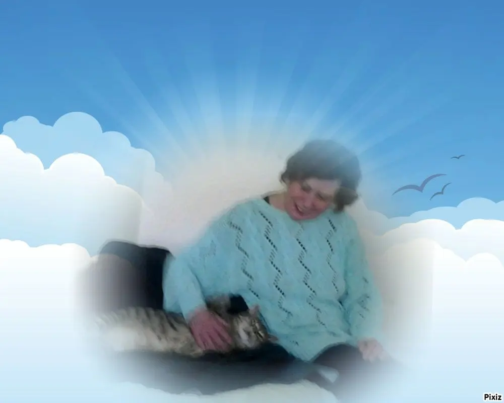 Condolence image of Deine Freundin Tanja ❤